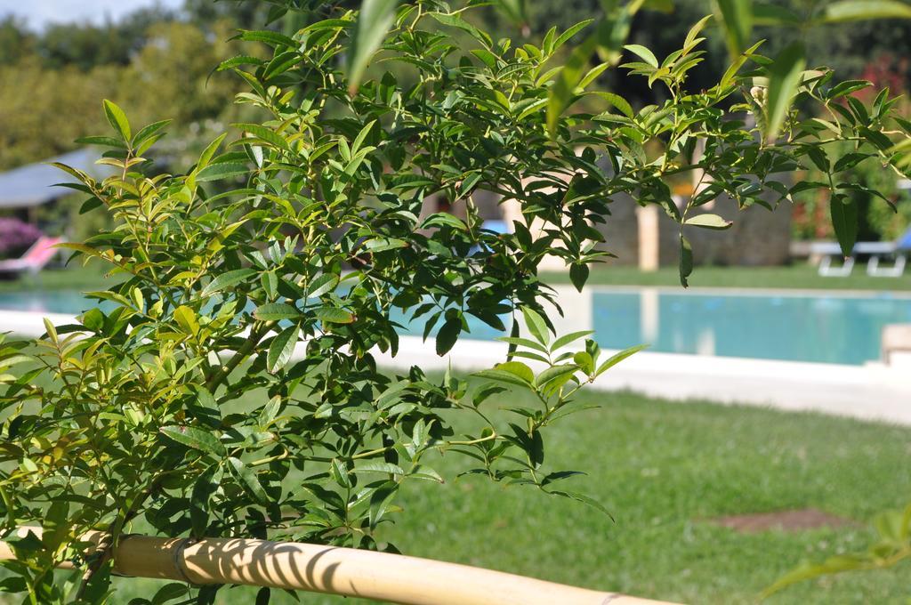 Villa Ca' Matra Lama  Esterno foto