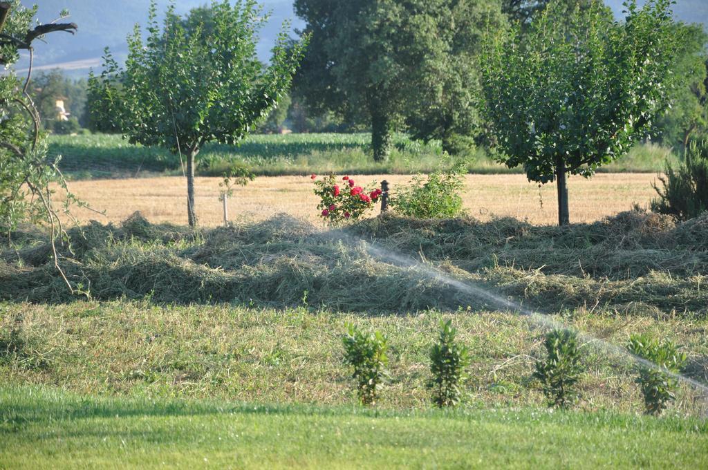 Villa Ca' Matra Lama  Esterno foto